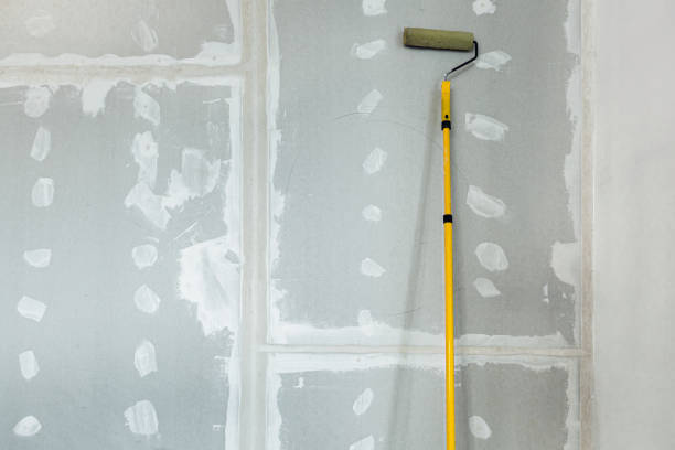 Best Mold Removal for HVAC Installations  in Elmo, TX