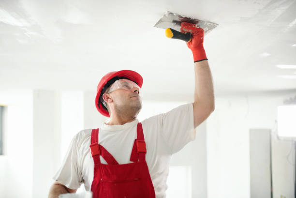 Best Commercial Mold Inspection  in Elmo, TX