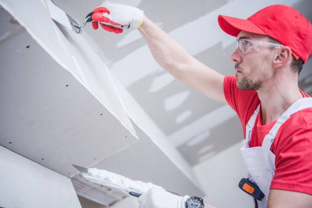 Trusted Elmo, TX Mold Removal Experts